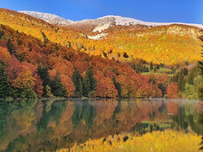  Foliage e sapori in Vallagarina 