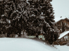 Die Bergh&uuml;tte im Winter