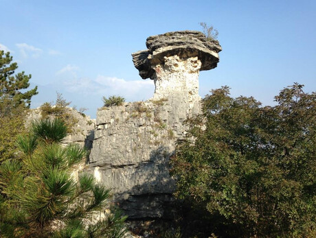  A walk in the nature to the "Fungo di Albaredo" 