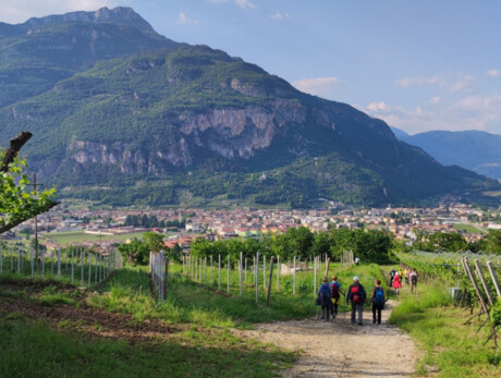  Passi di inclusione - Insieme sul Cammino di San Rocco 