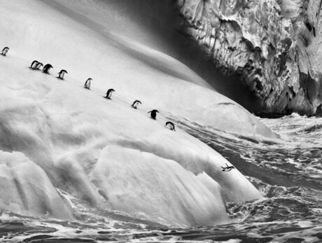  Sebasti&atilde;o Salgado 