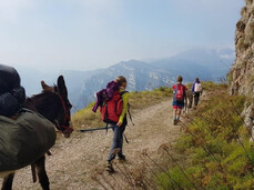 Trekking with donkeys