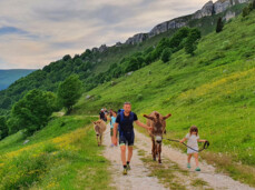 Familien-Trekking mit Eseln oder Alpakas