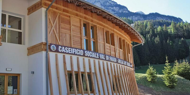 From Val di Fassa to Pale di San Martino: Cheeses of the Dolomites