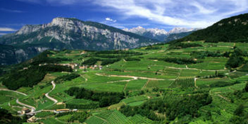 Val di Cembra and Altopiano di Piné 