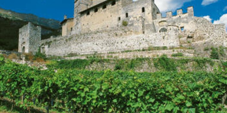 Vigneti a Castel Noarna