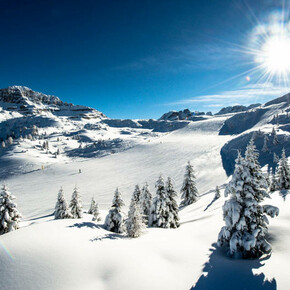 Madonna di Campiglio - Pinzolo - Val Rendena - Ski Area 