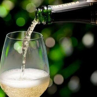 лучшее вино: Trentodoc