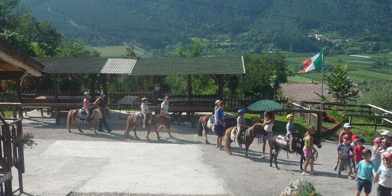Associazione Cavalieri della Valsugana Horseback riding   