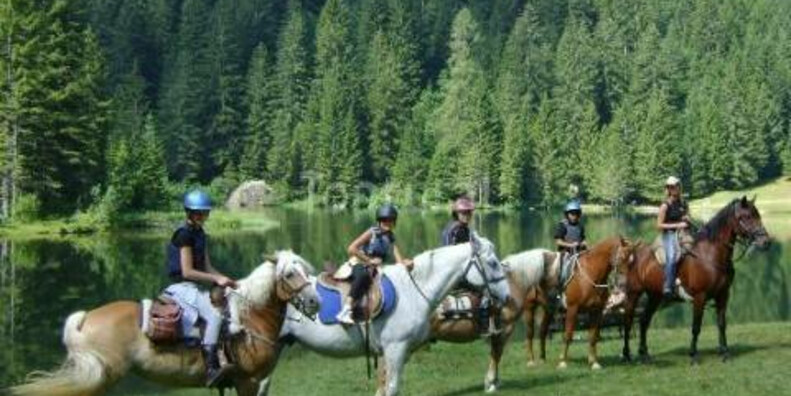 Alpina Val di Sole horse riding centre  