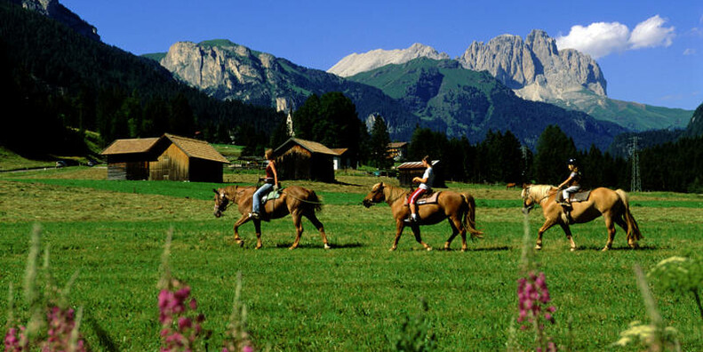 Reiterhof Horse Ranch Highland Cattle  
