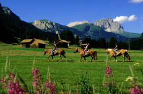 Maneggio Horse Ranch Highland Cattle