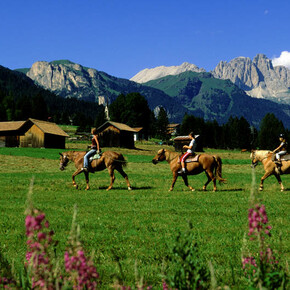 Maneggio Horse Ranch Highland Cattle