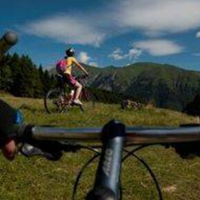 Cicli Andreis Specialized - it - Guida - Trentino
