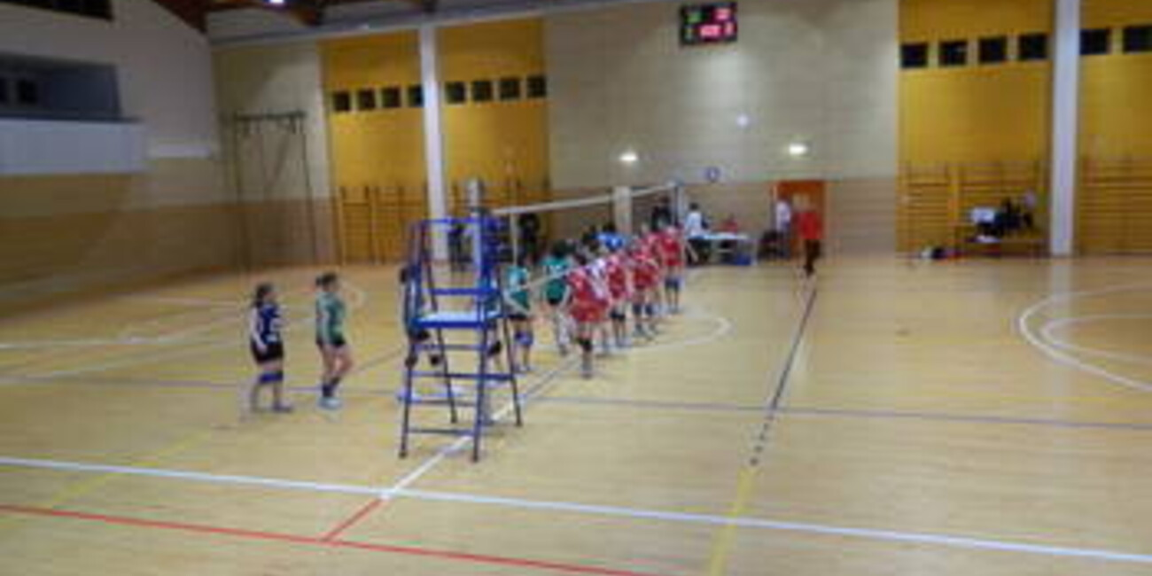 Palestra Istituto comprensivo di Primiero #1