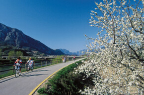 valle-dell-adige-estate-2007-ciclisti-sulla-pista-ciclabile