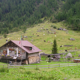 Collezione di cimeli del Rifugio Cauriol