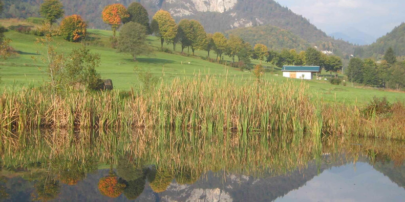 Ecomuseo del Tesino - Terra di viaggiatori #1