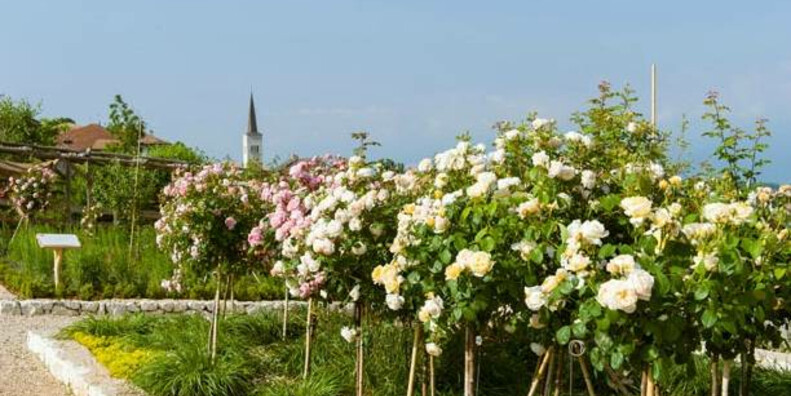 The "Giardino della Rosa" (Rose Garden) in Ronzone