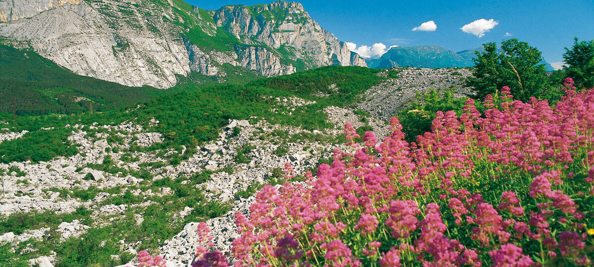 Naturdenkmäler im Trentino-Dolomiten