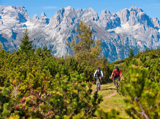 Paganella - Ciclisti in Mountain bike con panorama sul Brenta -
