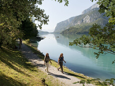 Płaskowyż Paganella, Dolomity Brenty, Jezioro Molveno i Piana Rotaliana
