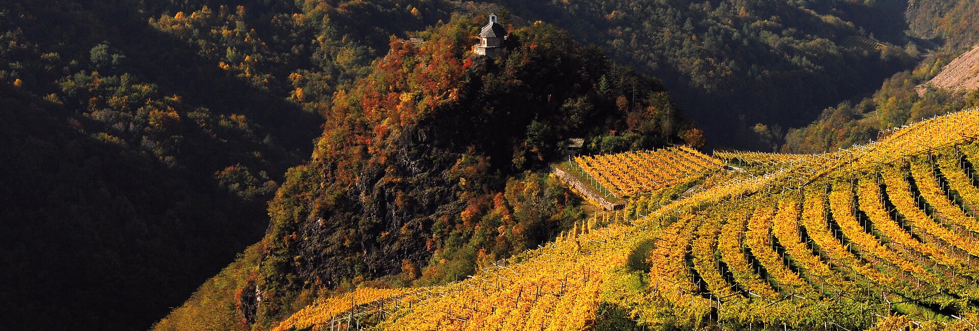 Val di Cembra - San Leonardo - Panorama - Vigneti - Foliage
