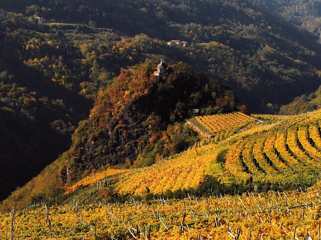 Val di Cembra - San Leonardo - Panorama - Vigneti - Foliage
