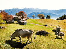 Valsugana, Lagorai, Vigolana en Valle dei Mocheni