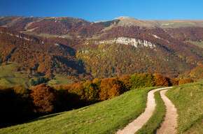 Where to photograph the foliage in Trentino