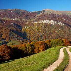 Dove fotografare il foliage in Trentino