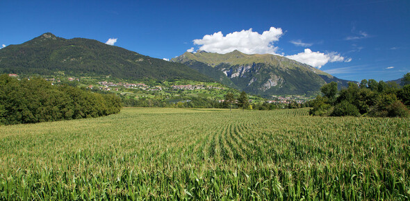 Alpi Ledrensi en Judicaria: UNESCO Biosphere