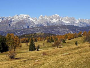 Valle dell'Adige - Monte Bondone
