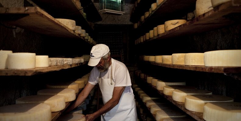 Trentino Guest Card - Producers