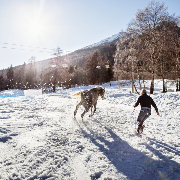 Val di Sole, Pejo, Rabbi - Allevatore con cavallo nella neve
