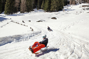 Val di Sole, Pejo, Rabbi - Discesa con le slitte - Slittino
