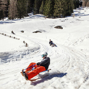 Val di Sole, Pejo, Rabbi - Discesa con le slitte - Slittino
