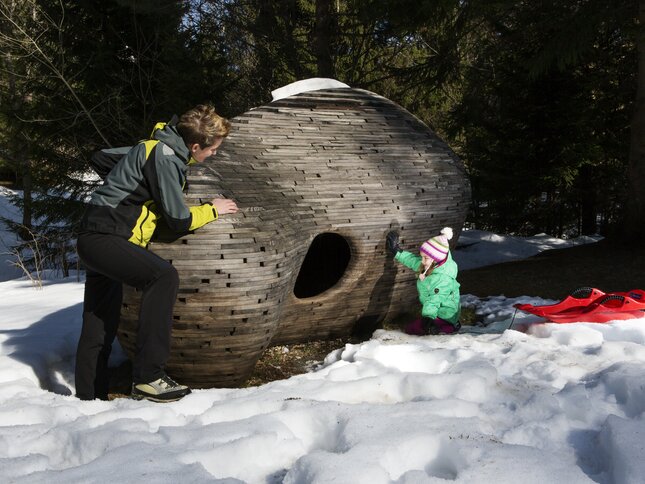 Valsugana - Tesino - Val di Sella - Arte Sella - Famiglia
