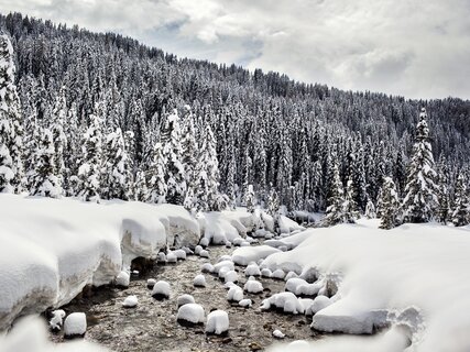 San Martino di Castrozza - Val Venegia - Torrente innevato

