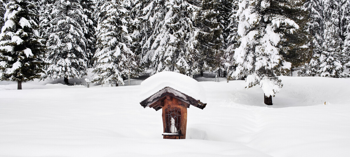 Krásné zimní lesní zvěř, příroda a sníh v Dolomitech  #3