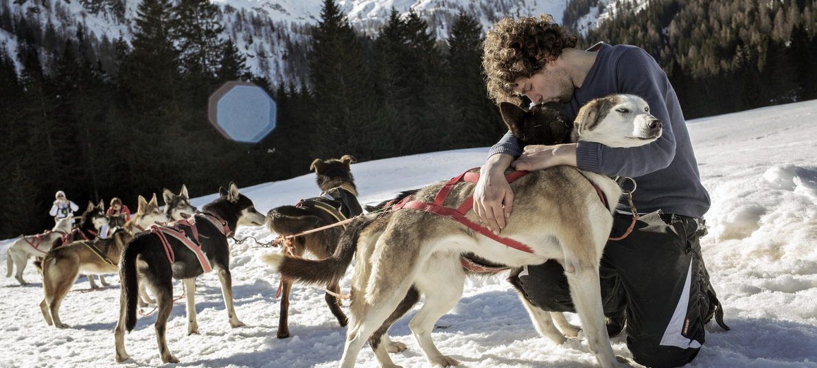 Sleddog: dobrodružná jízda na saních se psím spřežením v Trentinu  #1