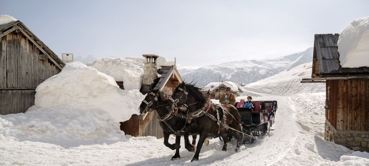Val di Fassa - San Pellegrino Pass - Horse-drawn sleigh - Troika