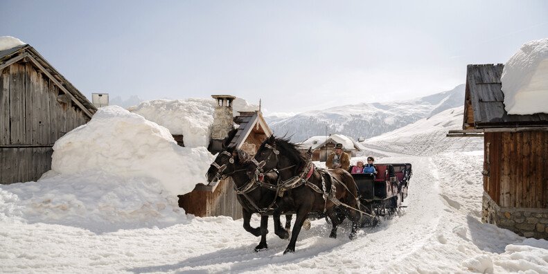 Val di Fassa - San Pellegrino Pass - Horse-drawn sleigh - Troika