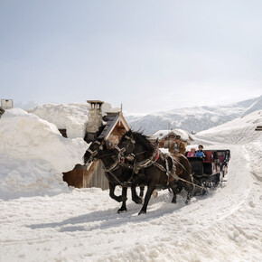 Val di Fassa - San Pellegrino Pass - Horse-drawn sleigh - Troika
