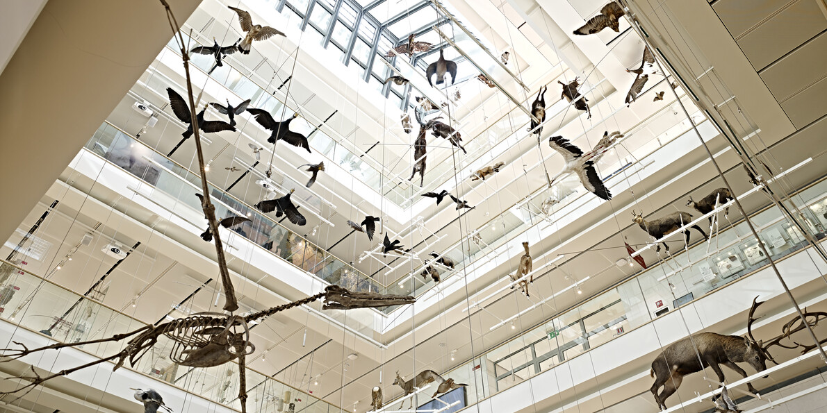 Valle dell'Adige - Trento - Muse - Museo delle Scienze di Trento
