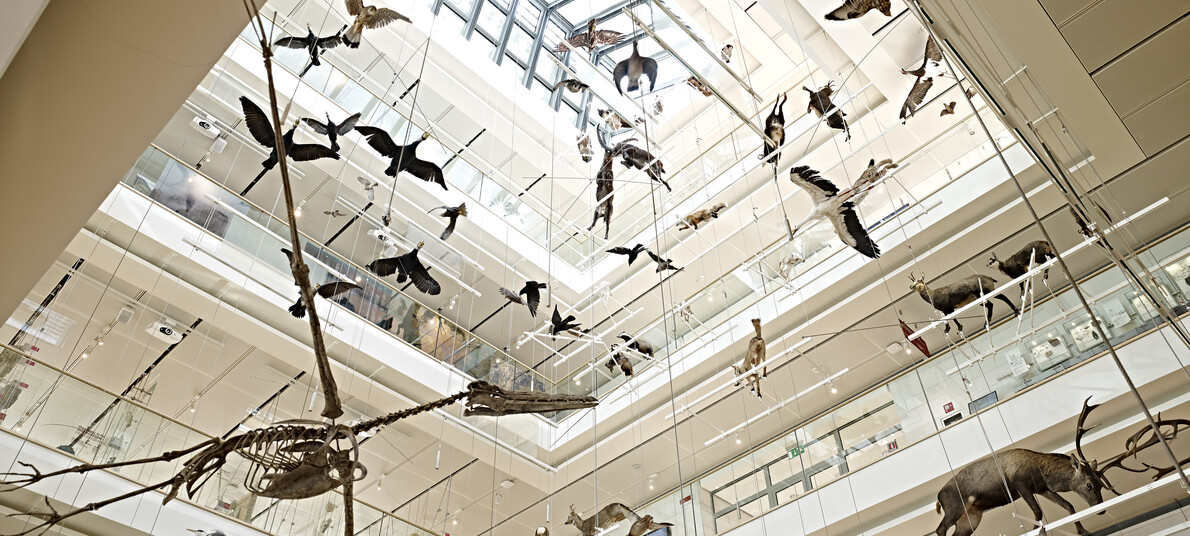 Valle dell'Adige - Trento - Muse - Museo delle Scienze di Trento
