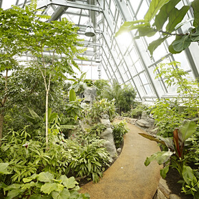 Valle dell'Adige - Trento - Muse - Museo delle Scienze di Trento