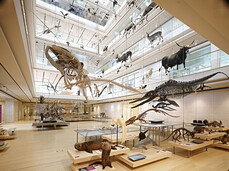 Обязательно следует посетить известный Музей науки MUSE