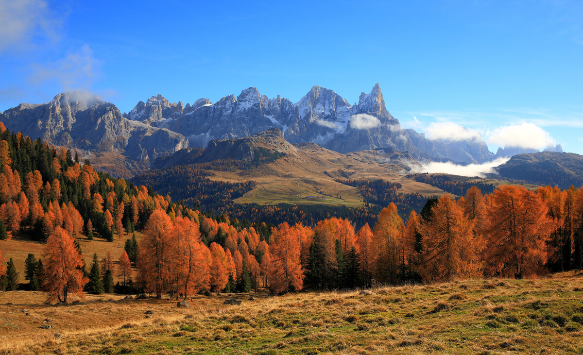 Parco Naturale Paneveggio - Pale di San Martino - Natura - Parchi