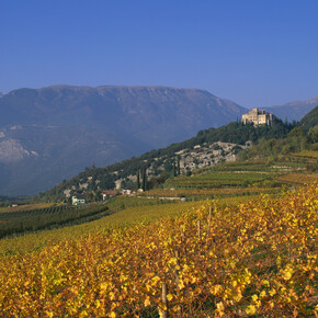 Valle dei Laghi - Vigneti e Castel Madruzzo sullo sfondo